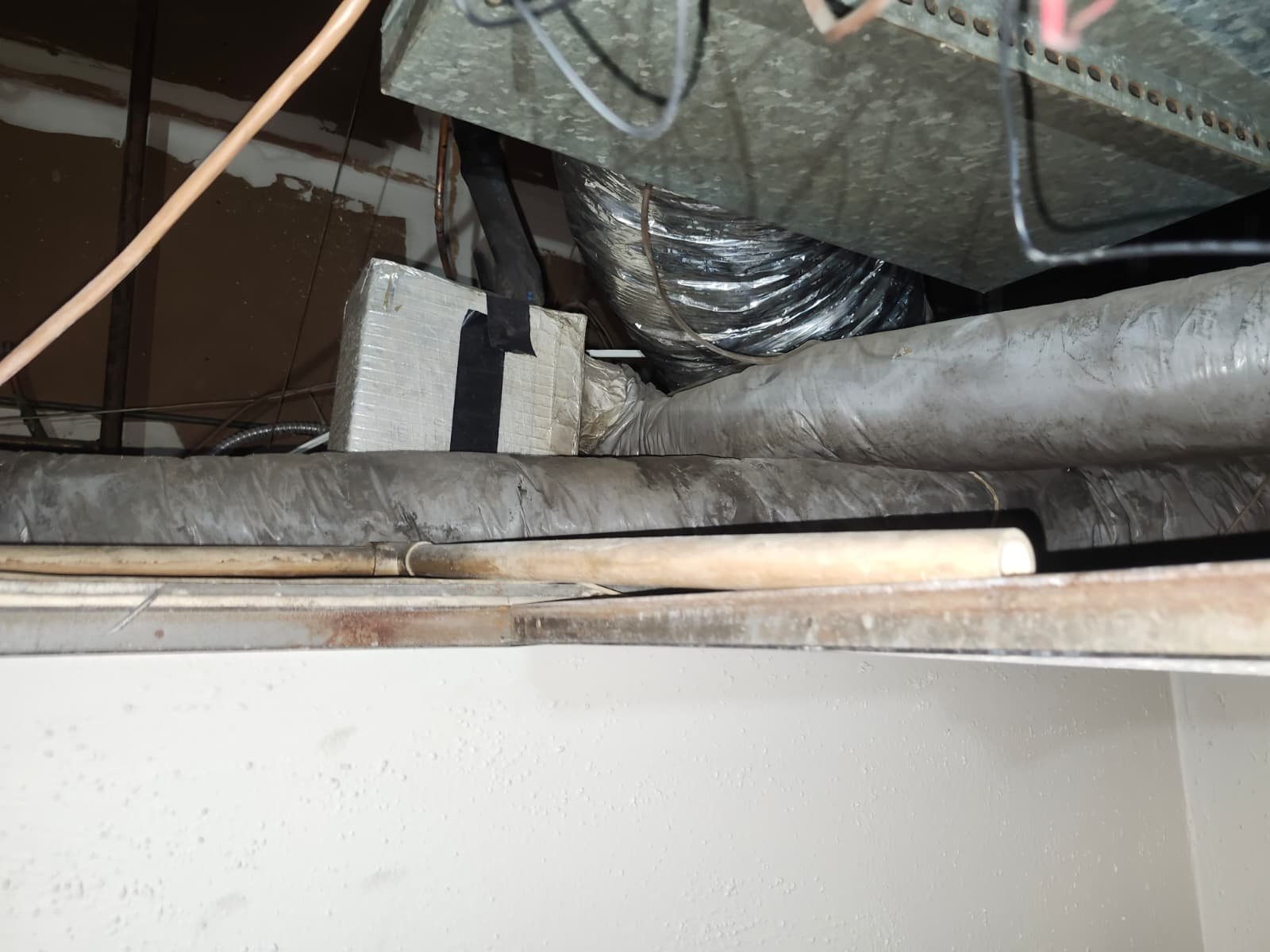 Home Therapist service photo in Tampa, FL 33610