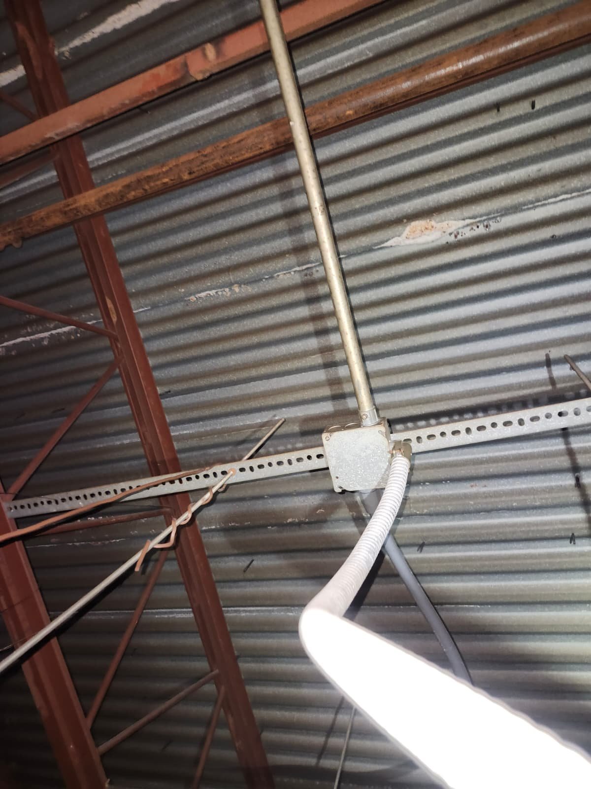 Home Therapist service photo in Tampa, FL 33610