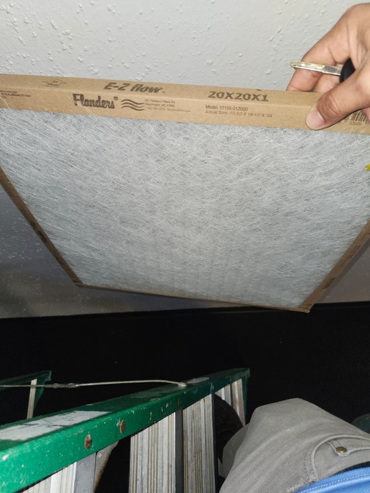 Home Therapist service photo in Tampa, FL 33610