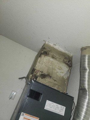 Air Duct Repair Replacement And Cleaning In Tampa FL