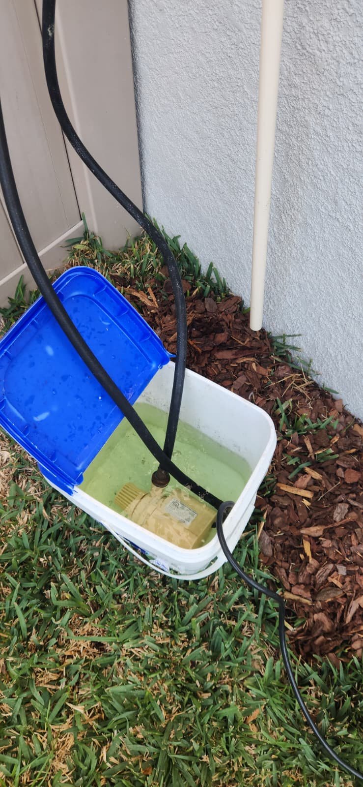 Home Therapist service photo in Wesley Chapel, FL 33543