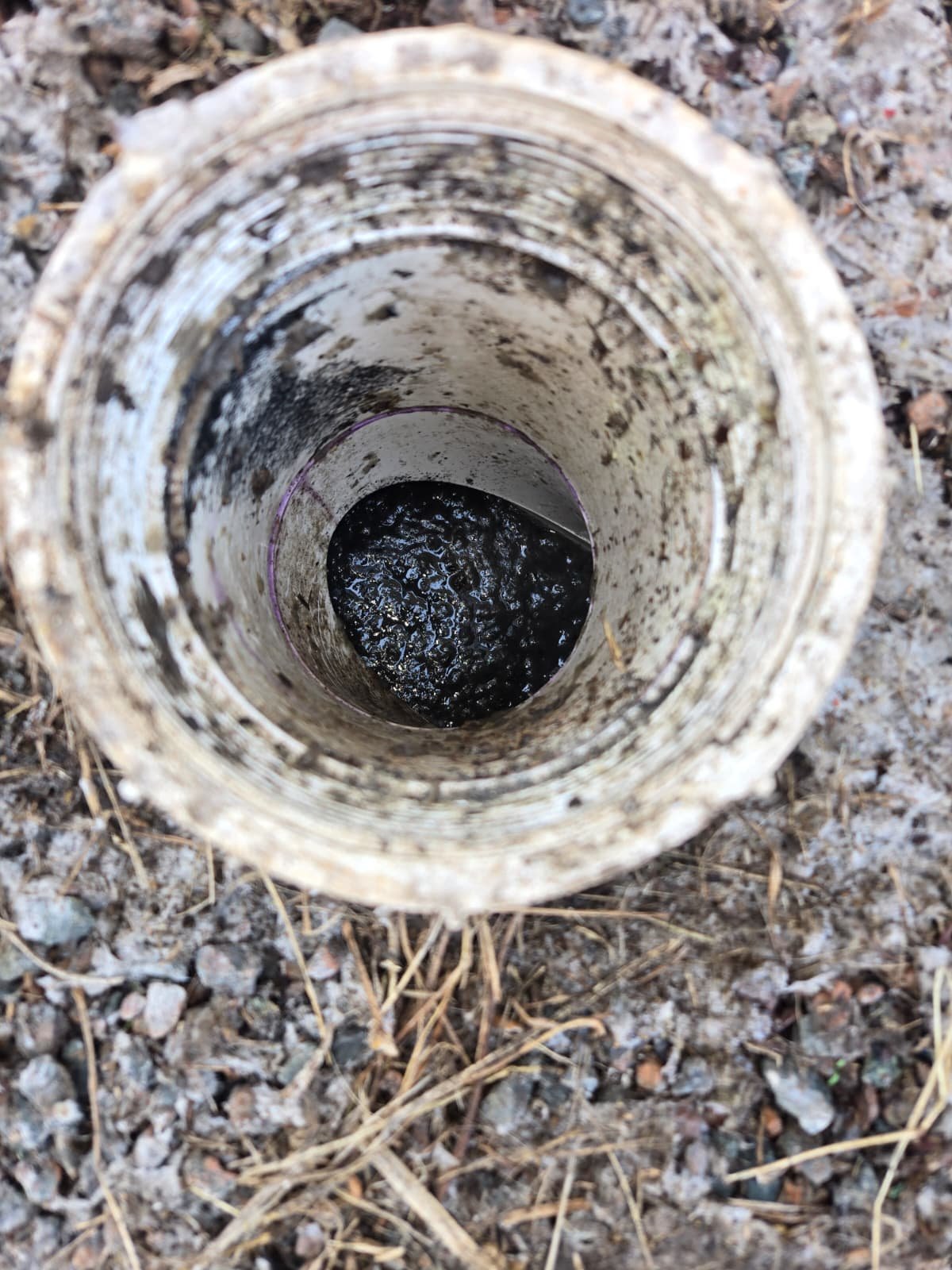 Home Therapist service photo in Tampa, FL 33603