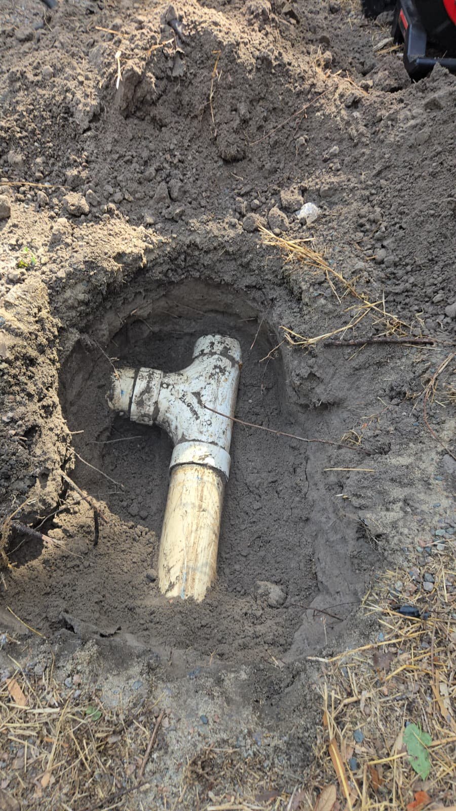 Home Therapist service photo in Tampa, FL 33603