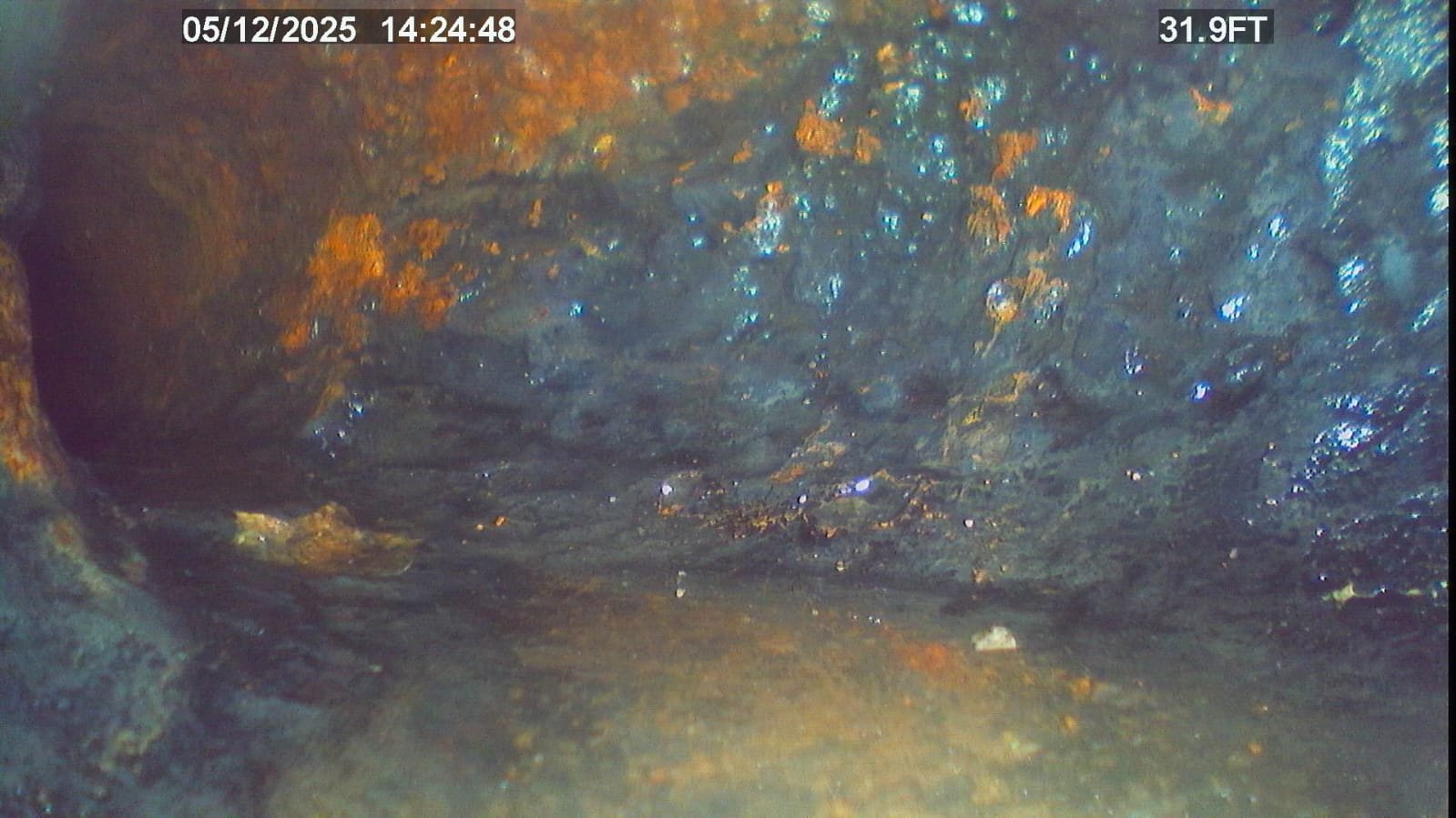 Home Therapist service photo in Tampa, FL 33603