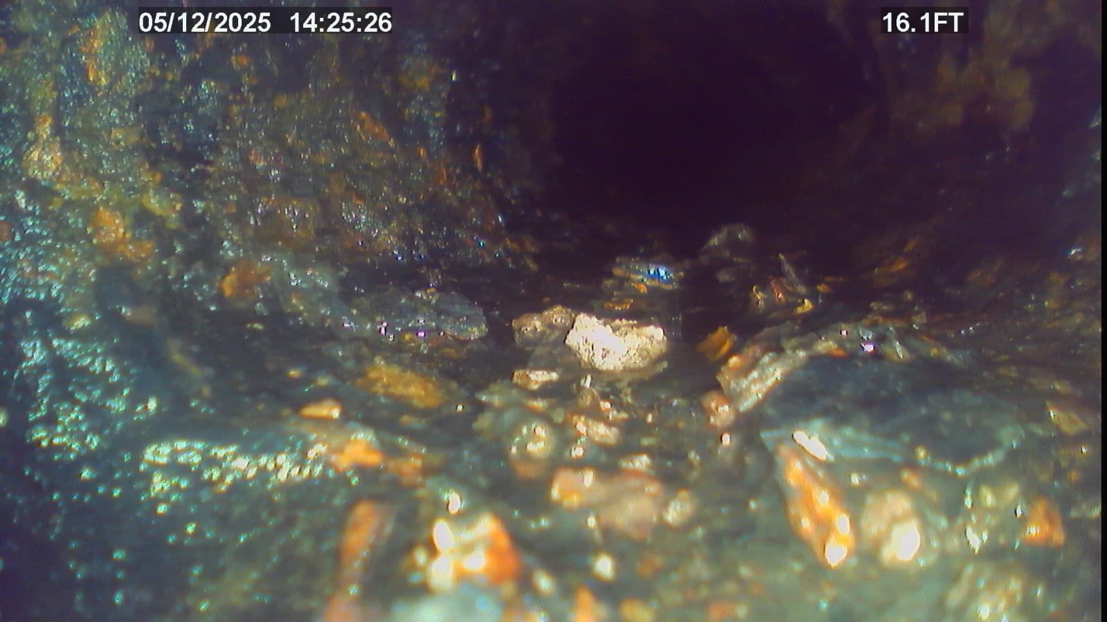 Home Therapist service photo in Tampa, FL 33603