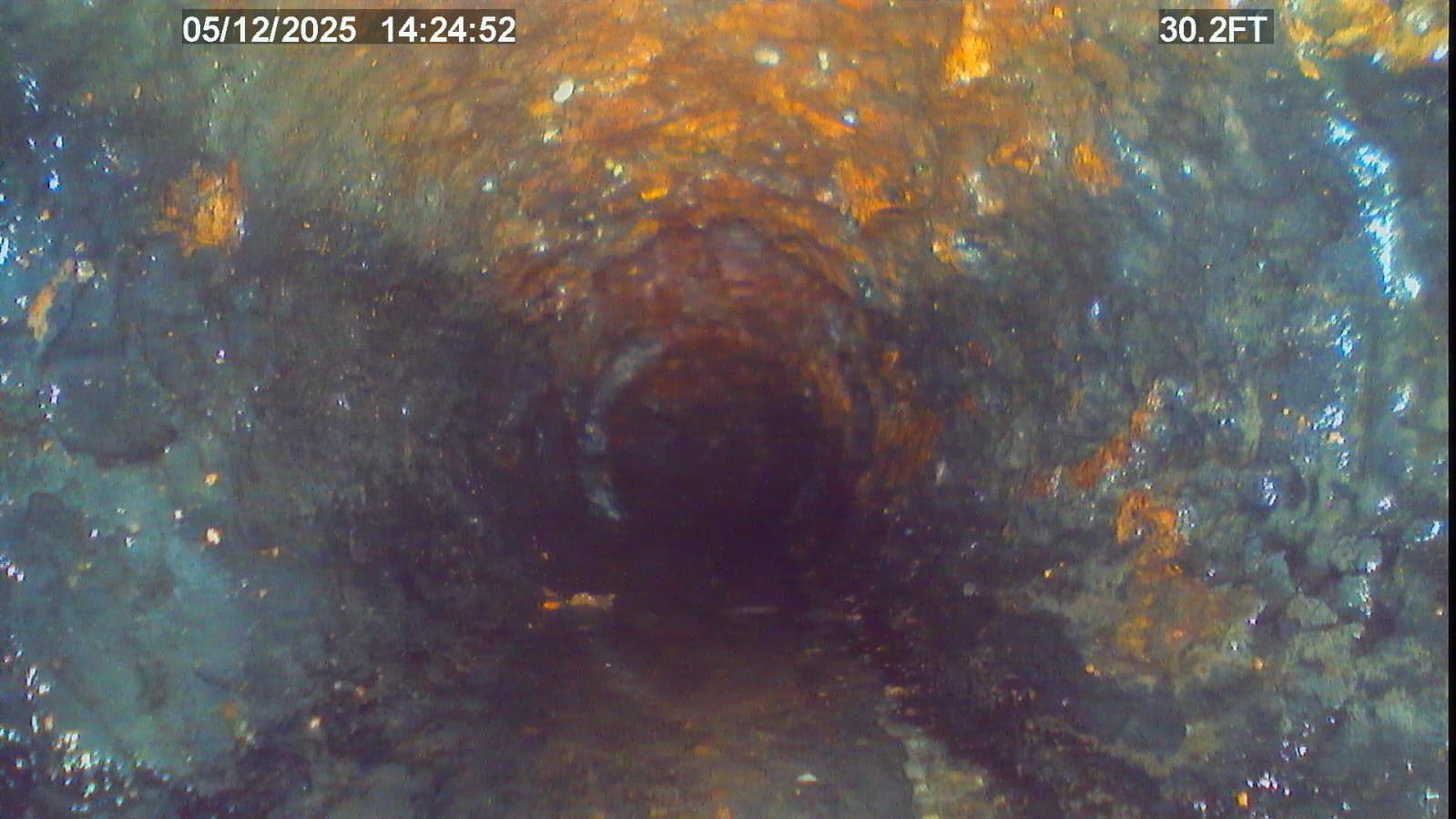 Home Therapist service photo in Tampa, FL 33603