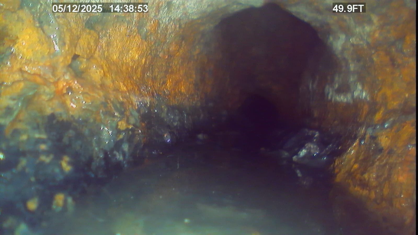 Home Therapist service photo in Tampa, FL 33603