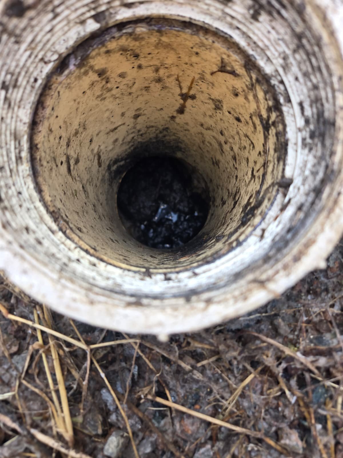 Home Therapist service photo in Tampa, FL 33603