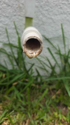 Drain Cleaning And Sanitizing Services In Clearwater FL