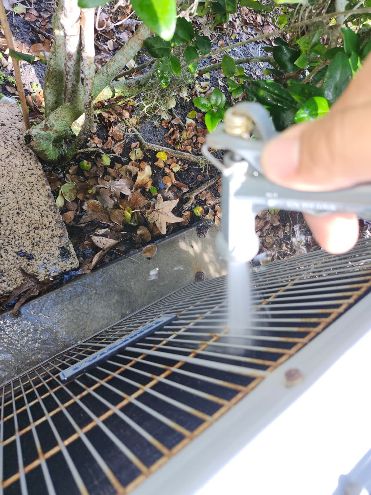 Home Therapist service photo in Oldsmar, FL 34677