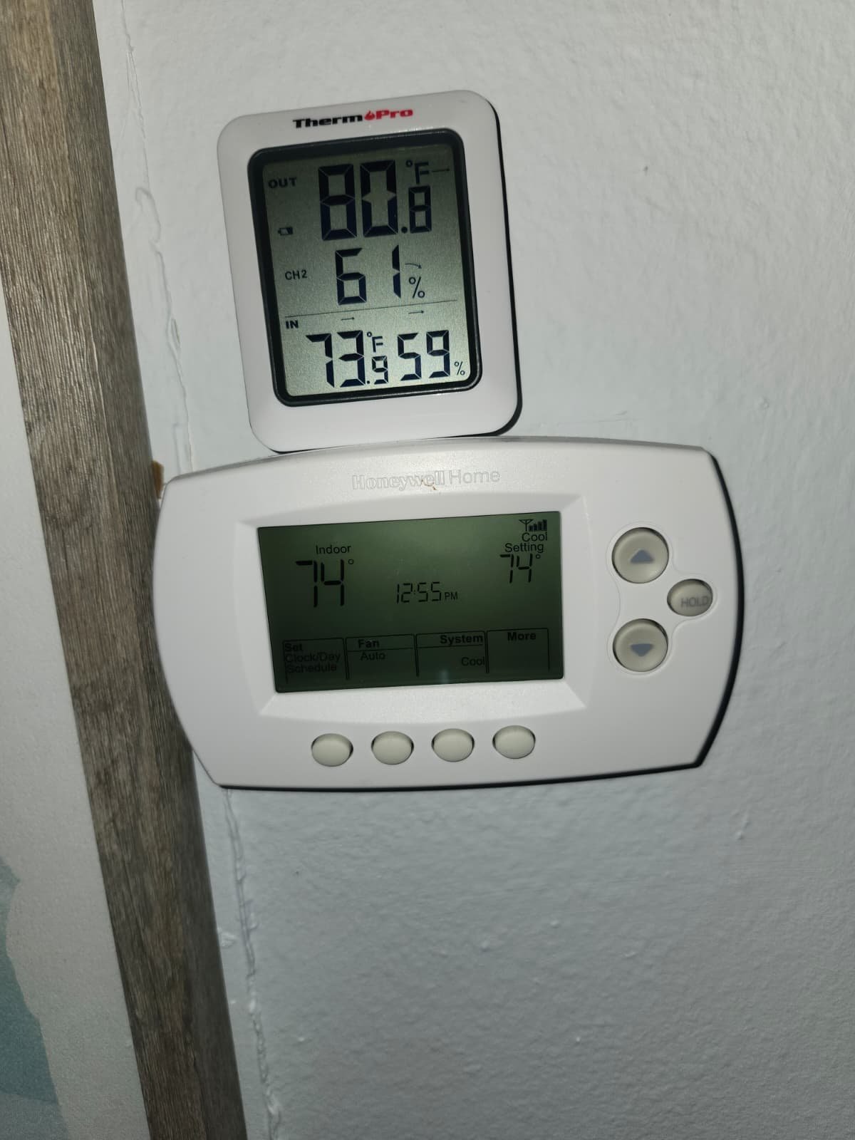 Home Therapist service photo in Oldsmar, FL 34677