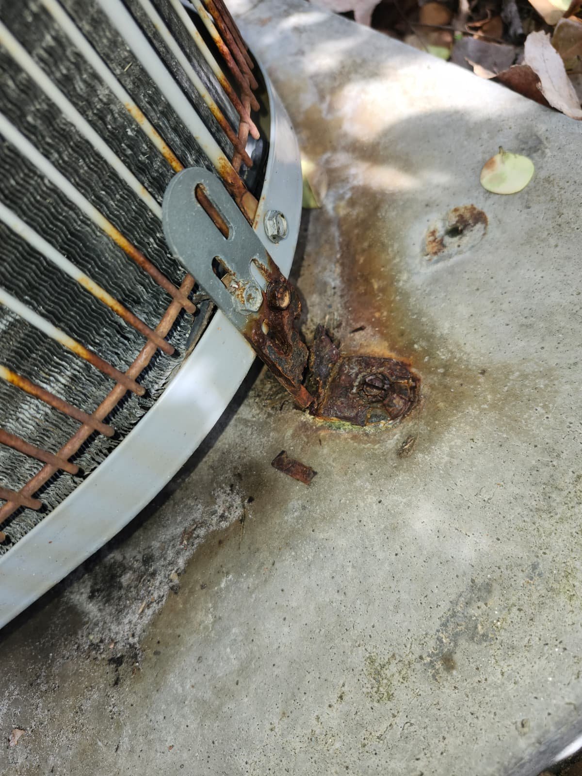 Home Therapist service photo in Oldsmar, FL 34677