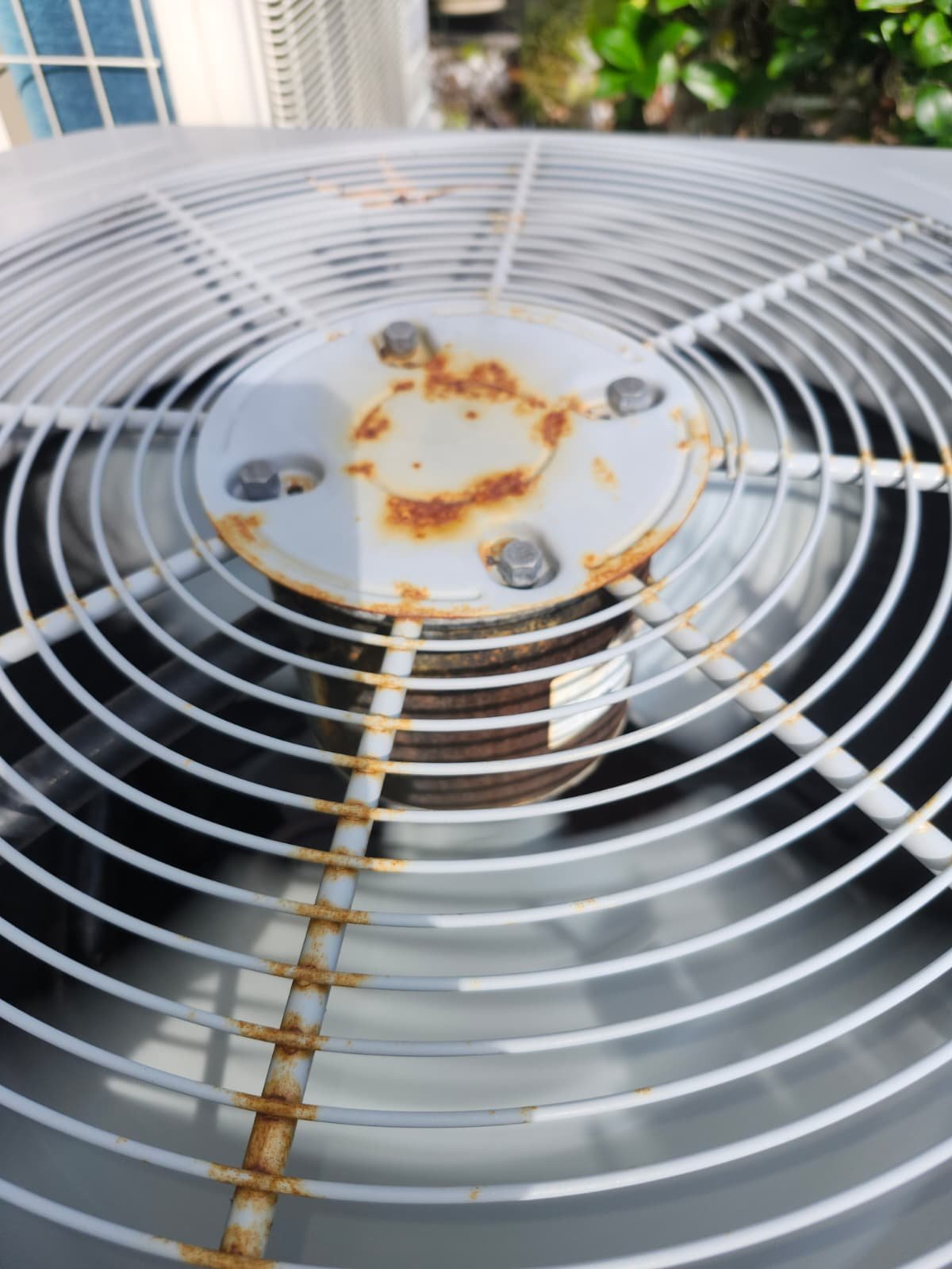 Home Therapist service photo in Oldsmar, FL 34677