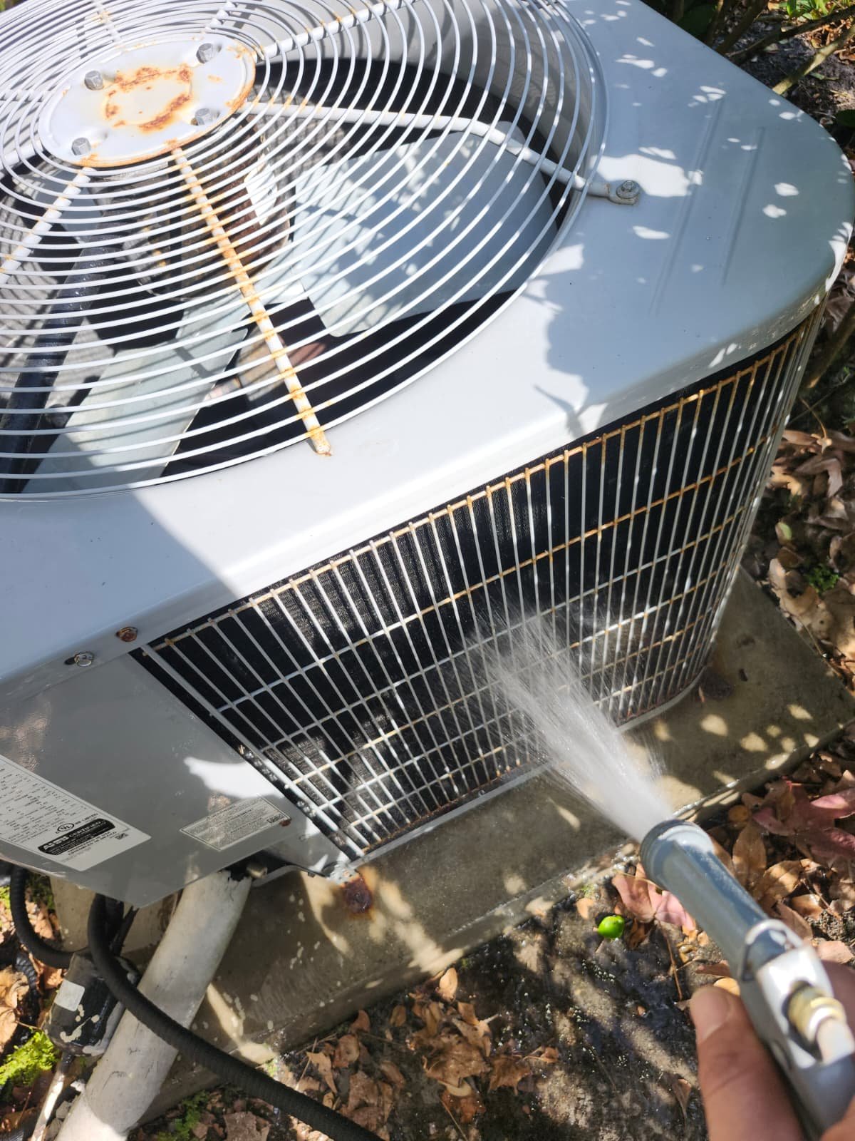 Home Therapist service photo in Oldsmar, FL 34677