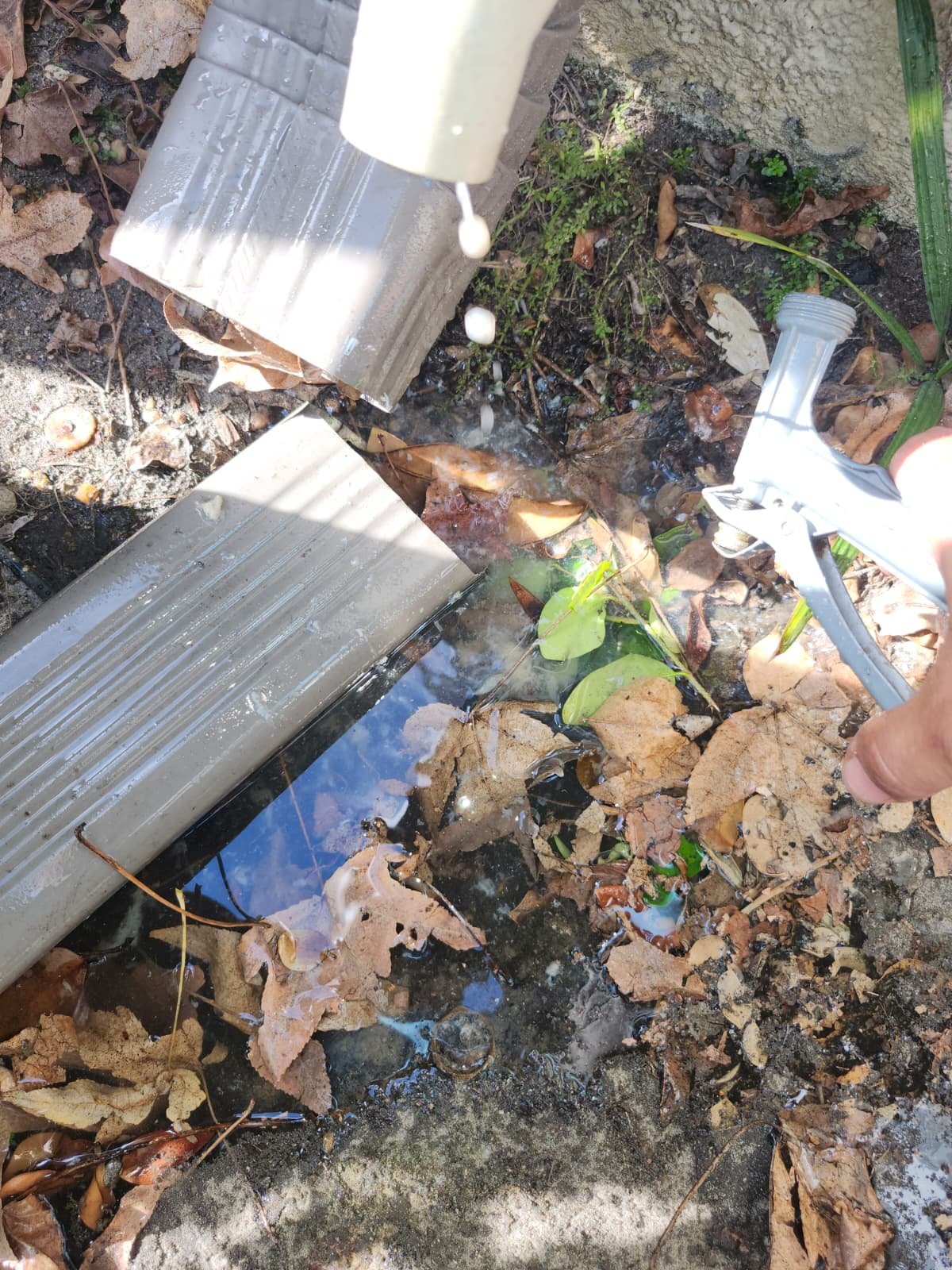 Home Therapist service photo in Oldsmar, FL 34677