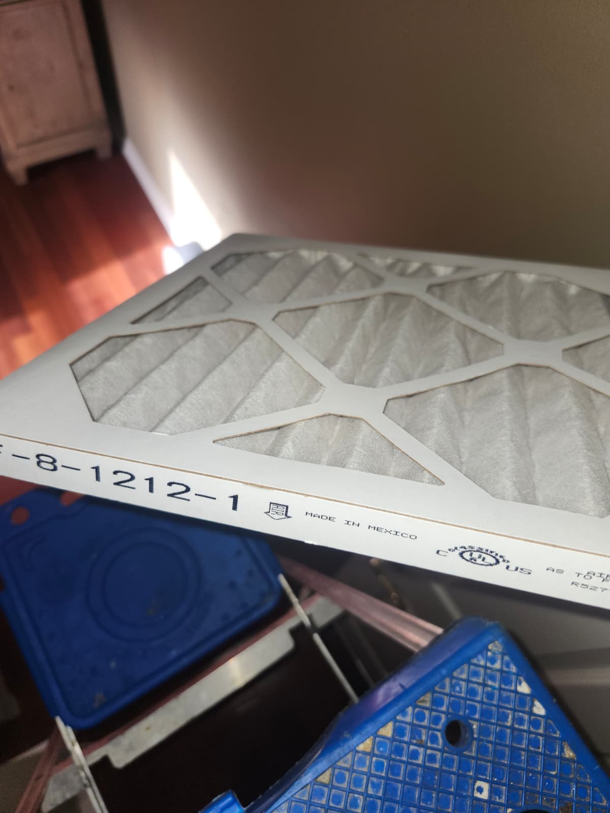 Home Therapist service photo in Lutz, FL 33558