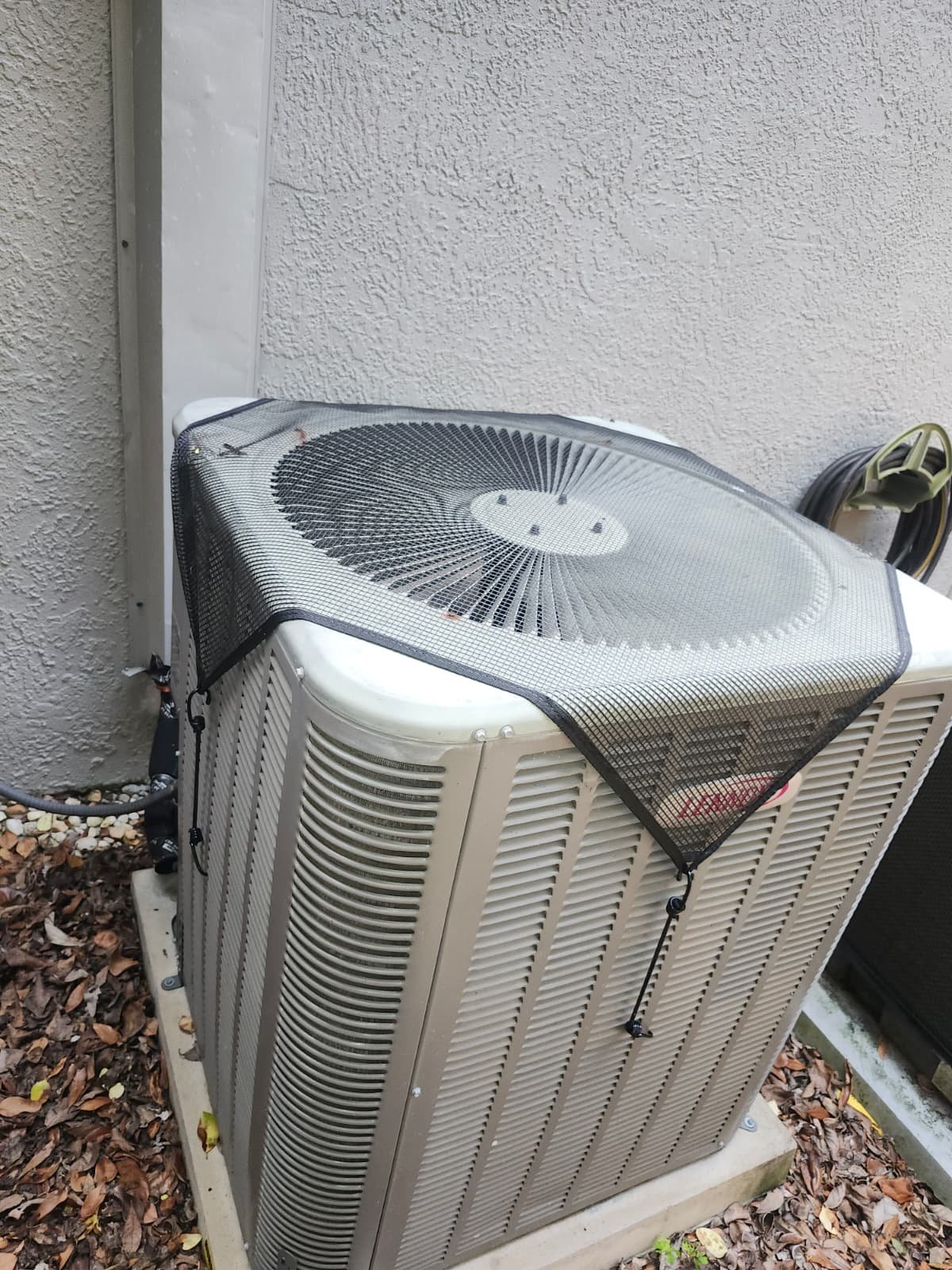 Home Therapist service photo in Lutz, FL 33558