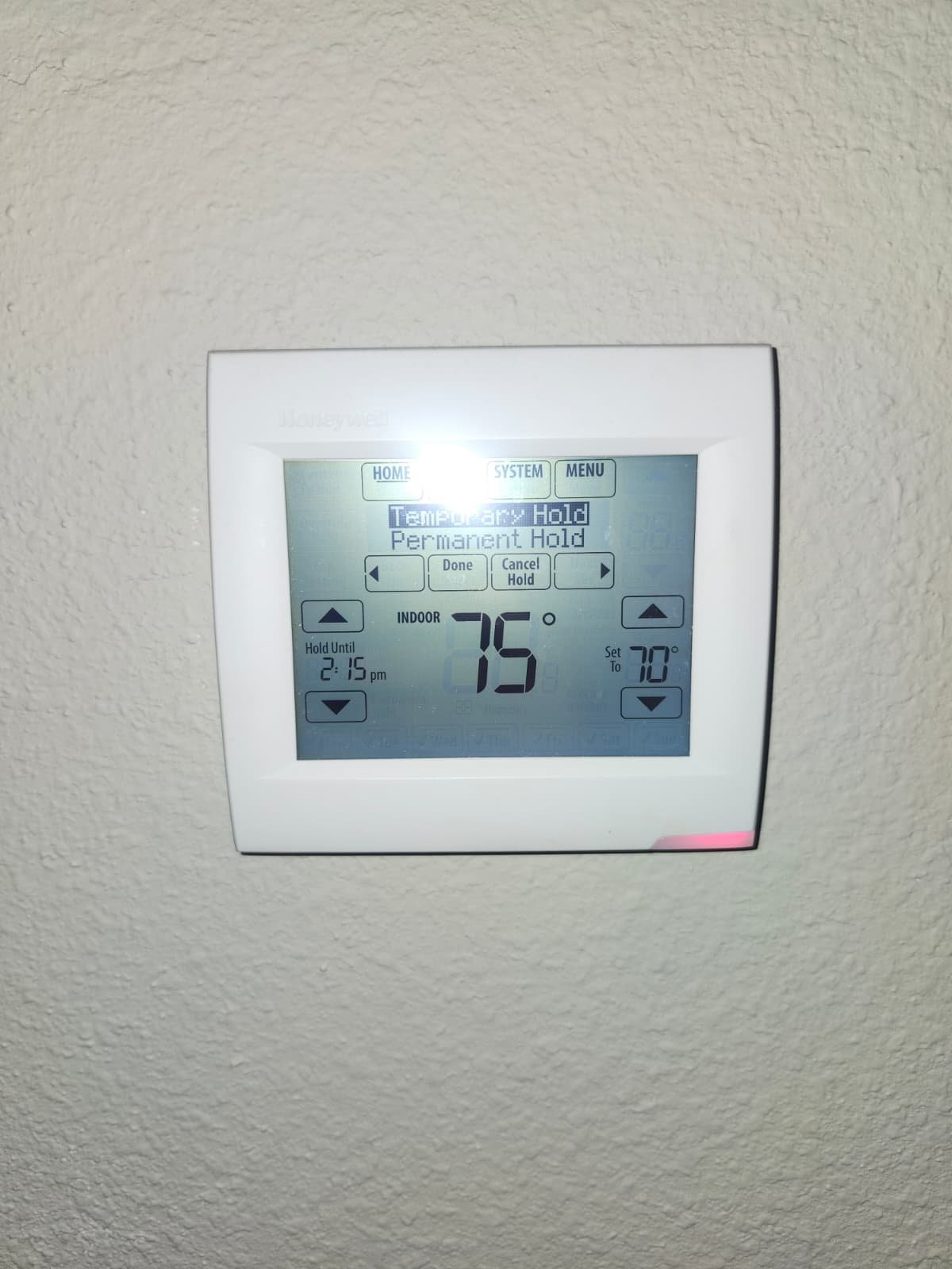 Home Therapist service photo in Lutz, FL 33558