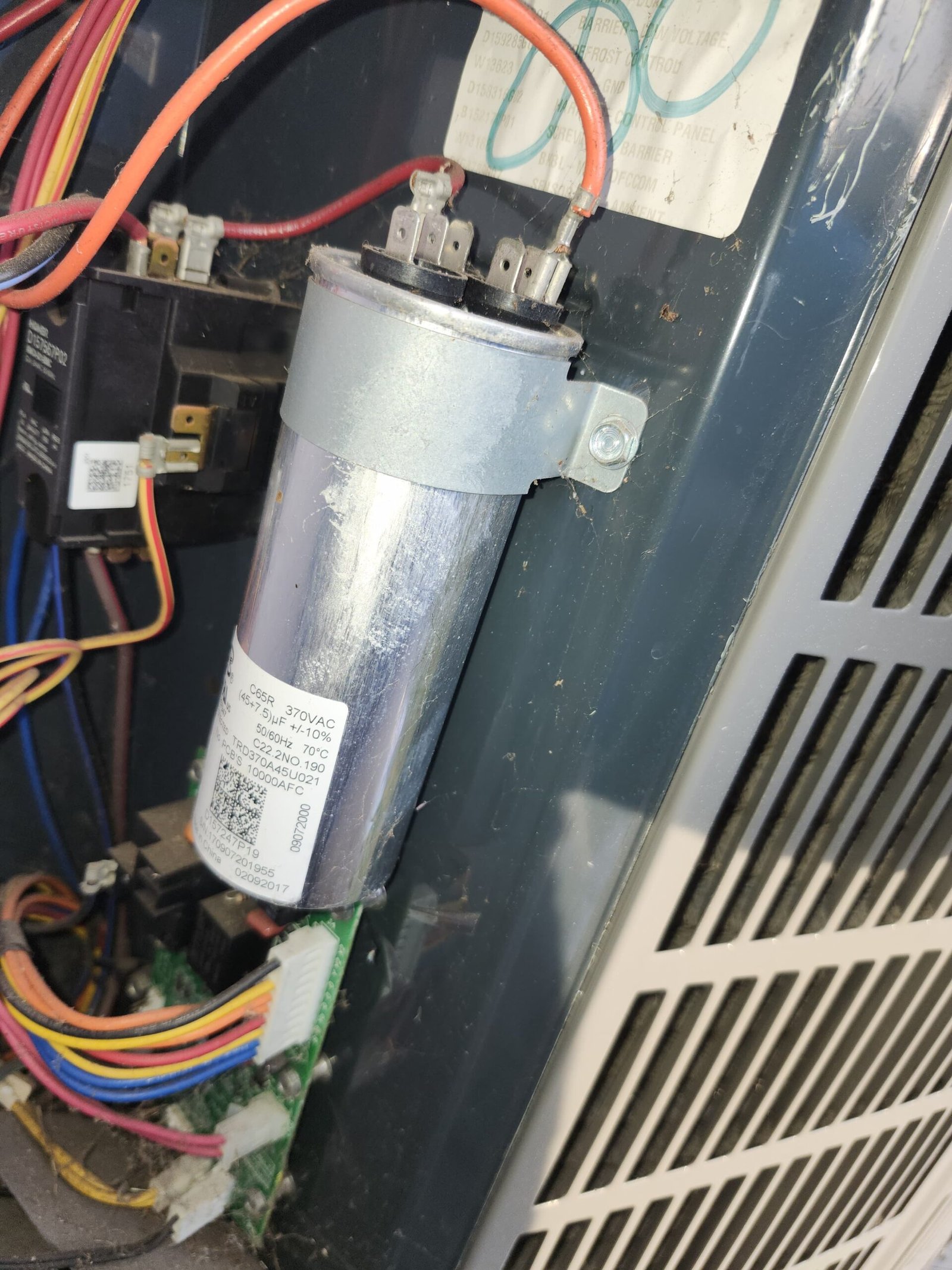 Home Therapist service photo in Valrico, FL 33596