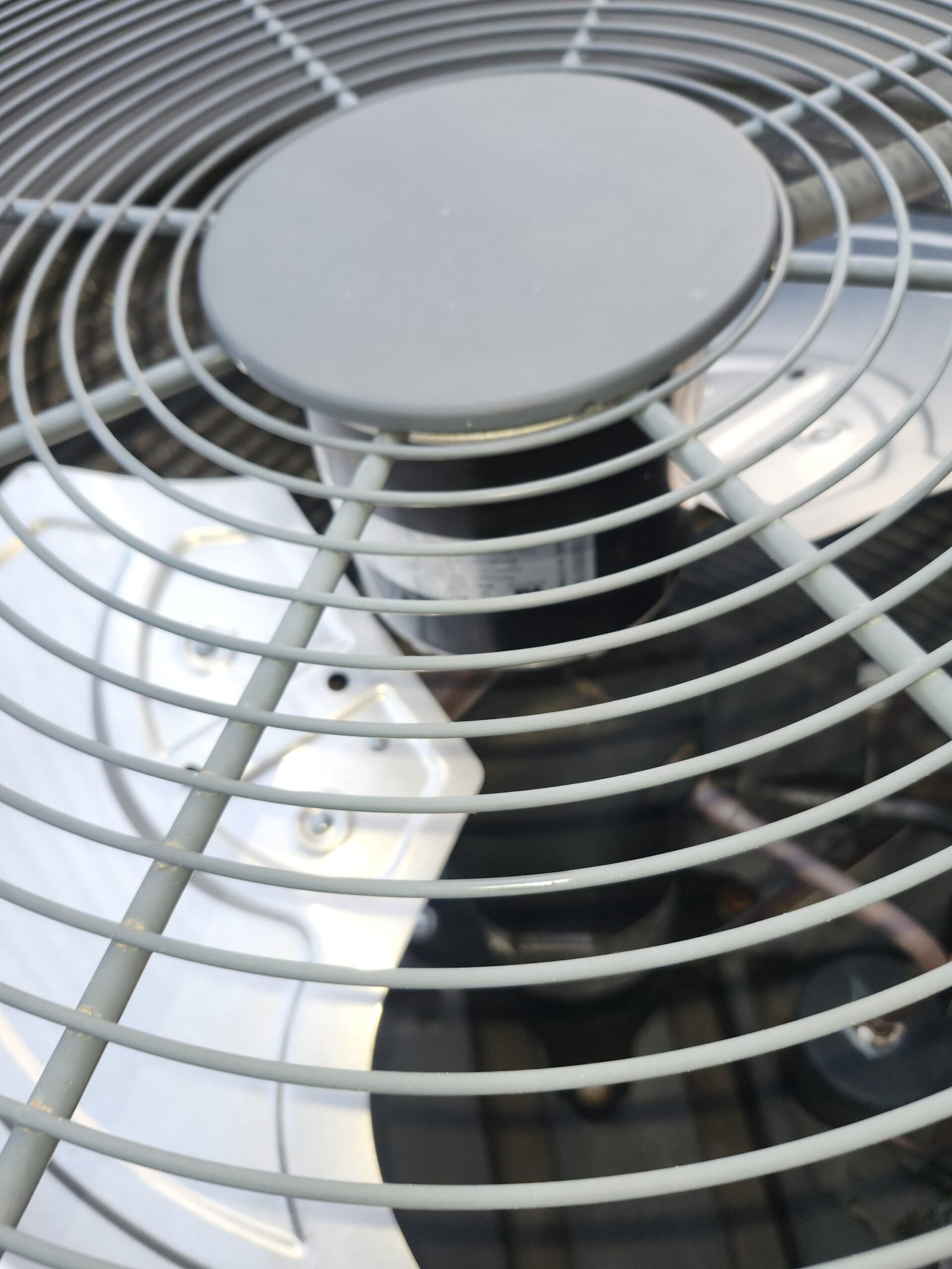 Home Therapist service photo in Valrico, FL 33596