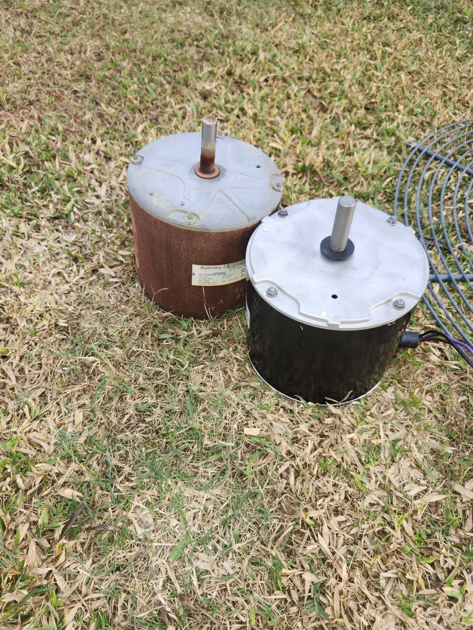 Home Therapist service photo in Valrico, FL 33596