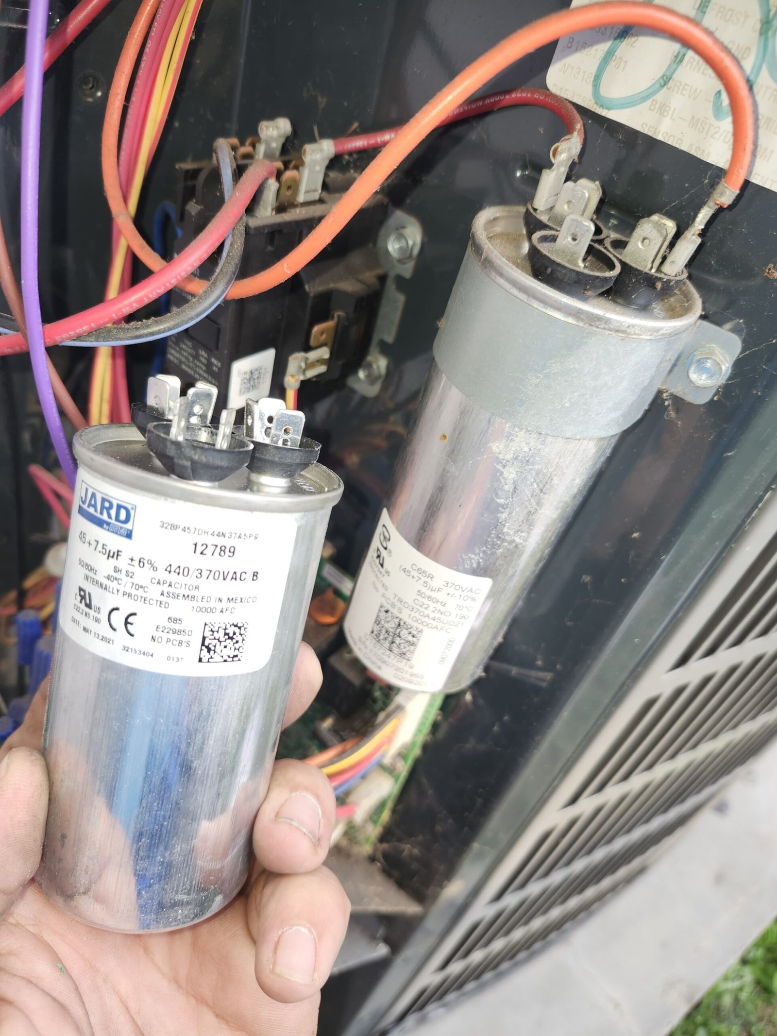 Home Therapist service photo in Valrico, FL 33596