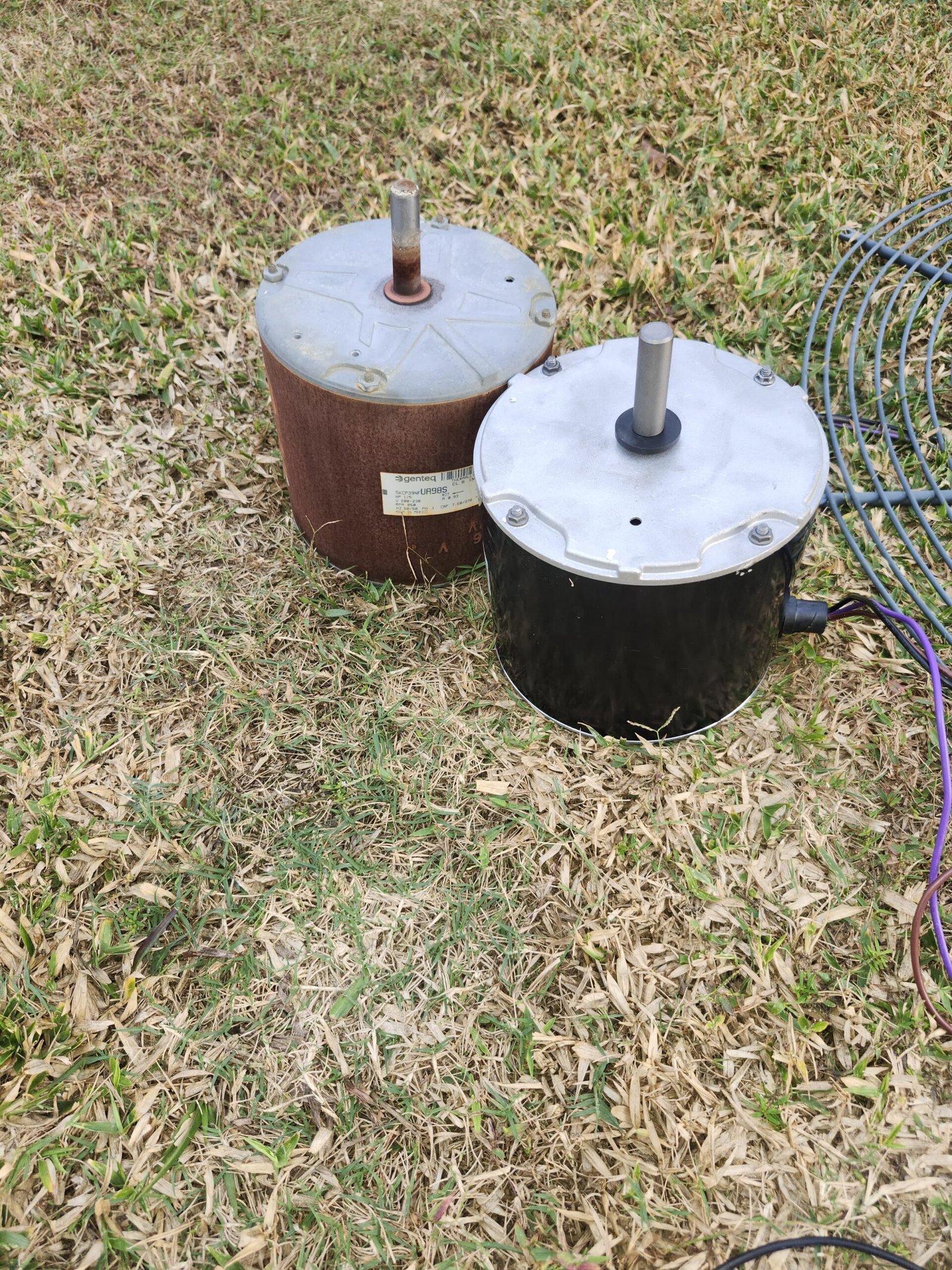 Home Therapist service photo in Valrico, FL 33596