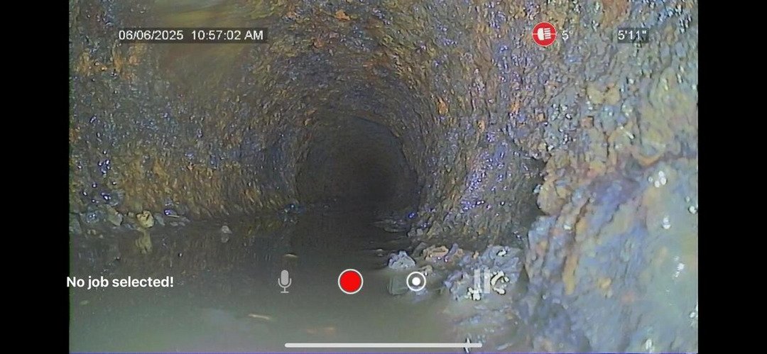Hydro Jet Sewer Drain Unclogging on Eisenhower Blvd N: 61-Minute Job in Tampa, FL 33634
