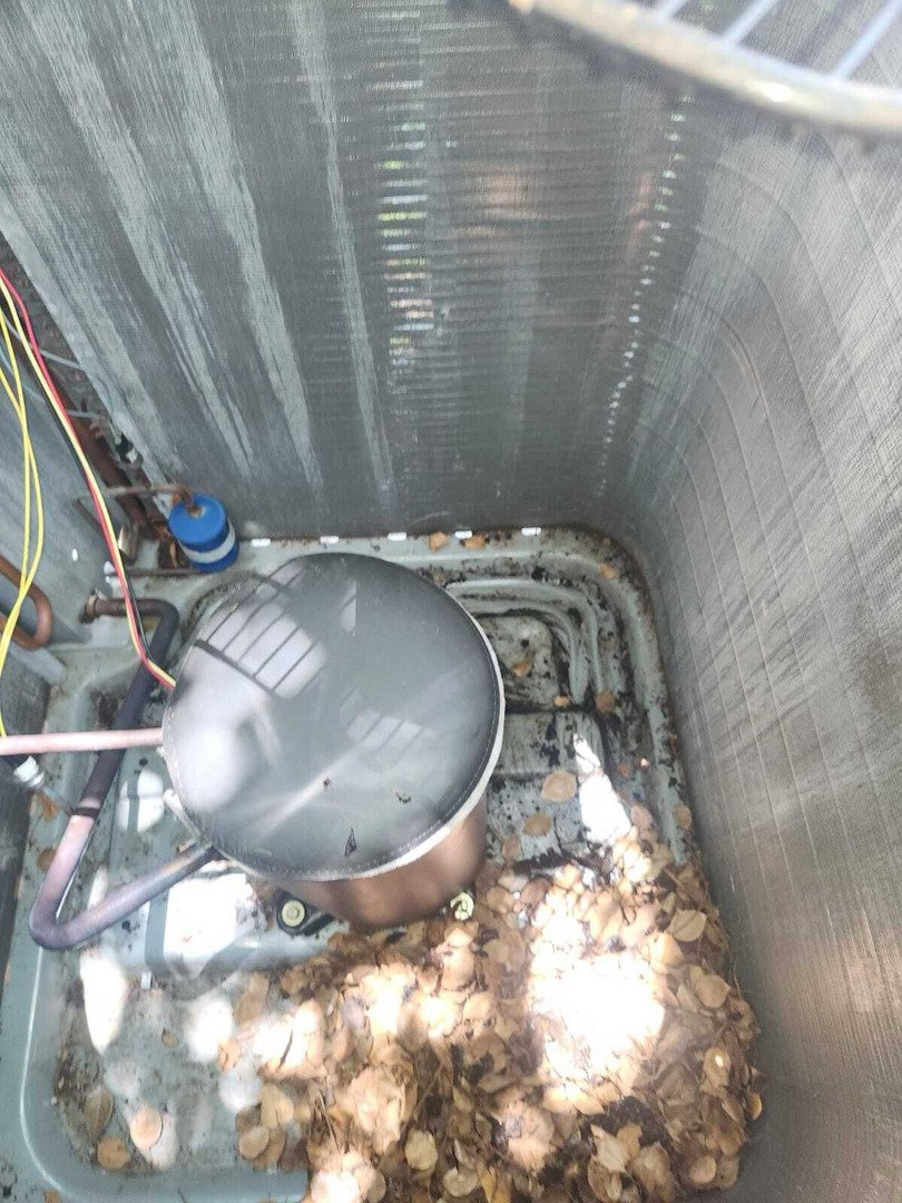 AC System Cleaning on County Line Rd: Blower, Coil & Drain Line Service in Wesley Chapel, FL 33543