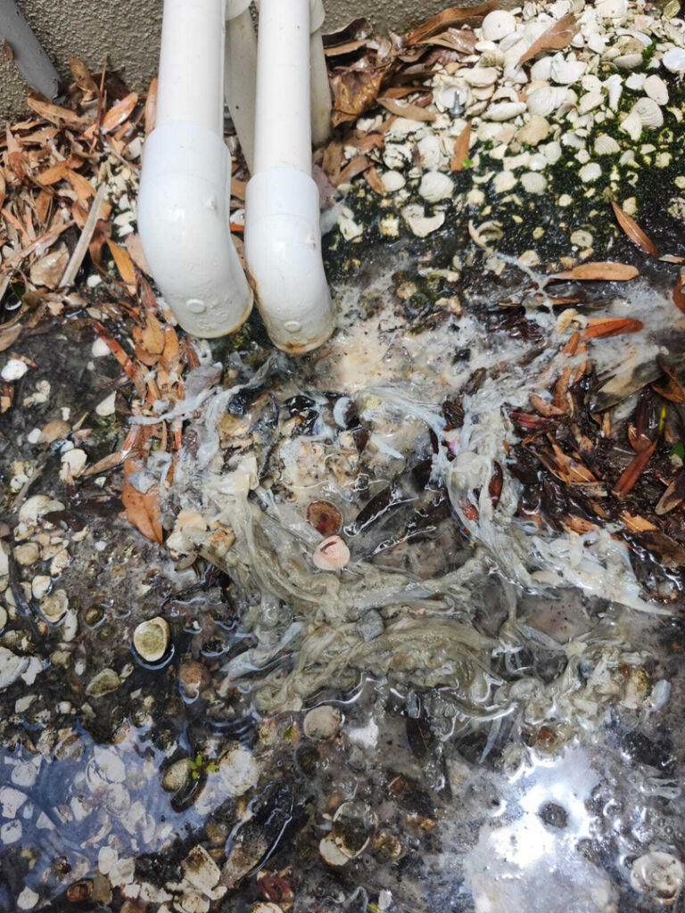 drainage issue with water pooling and debris around pipes possibly indicating leaks or blockage in plumbing system