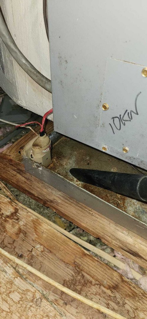 Clogged AC Drain Line Shut Down This Jasmine Lakes Home: Drain Cleaning Repair in Port Richey, FL 34668