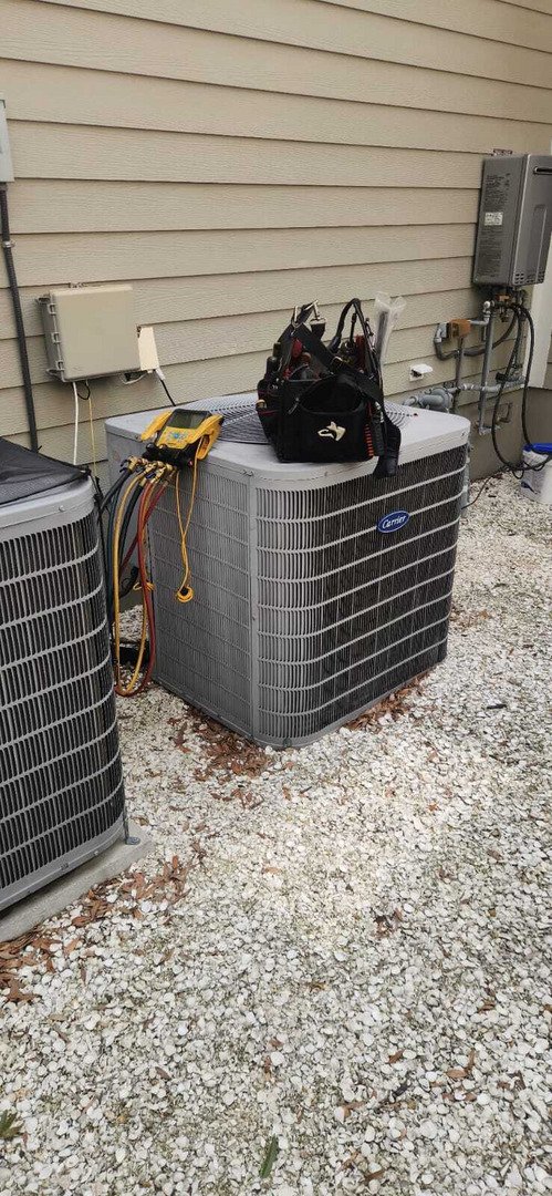 Dirty Blower Wheel and Organic Growth Found During Double AC Tune-Ups and Plumbing Inspection in Tampa, FL 33611
