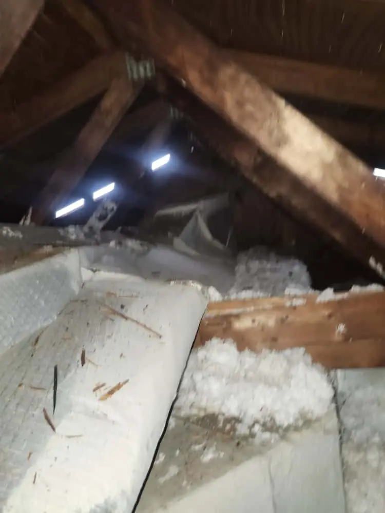 Frozen Package Unit on E Knollwood St: Duct Sealing and Insulation Diagnosis in Tampa, FL 33610