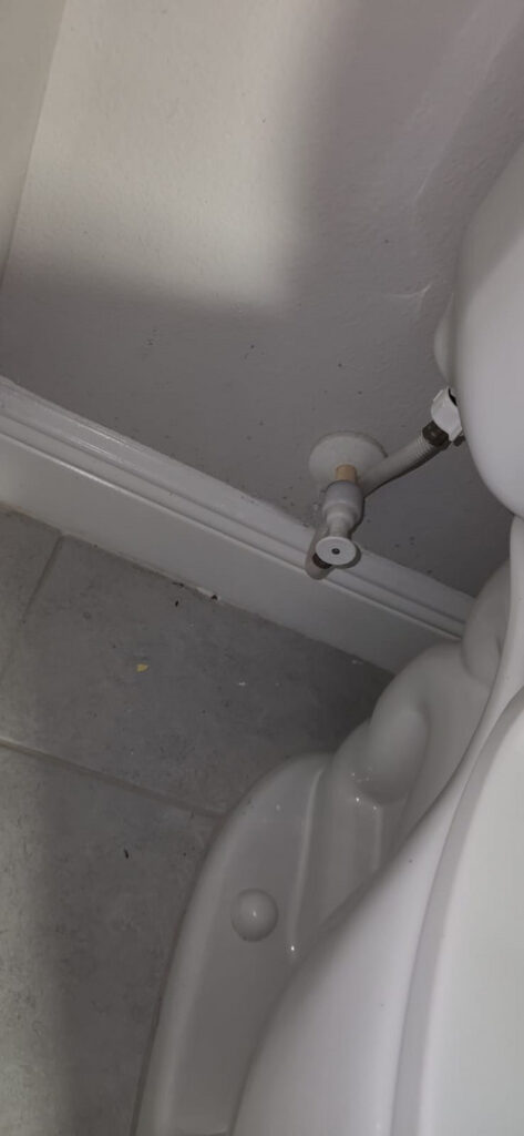 plumbing service for a toilet repair or installation visible water supply line and white ceramic toilet close to the wall