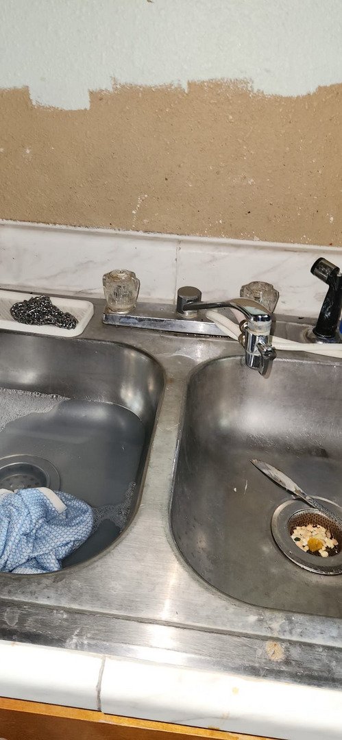 Two Toilets and a Clogged Tub: Plumbing Inspection Visit on Trailing Vine Dr, Tampa, FL 33610
