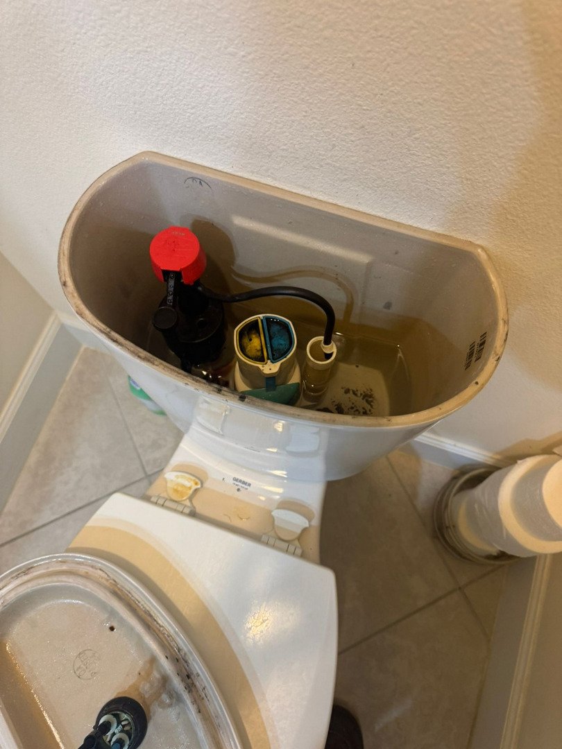 toilet tank inspection showing components like flapper and fill valve needing maintenance or replacement