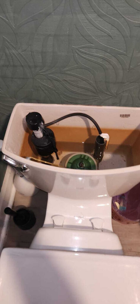 toilet tank with components including a float valve and a fill valve showing standing water inside the tank