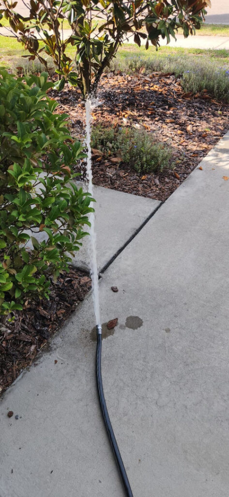 water is spraying from a hose onto a garden area near a plant and mulch