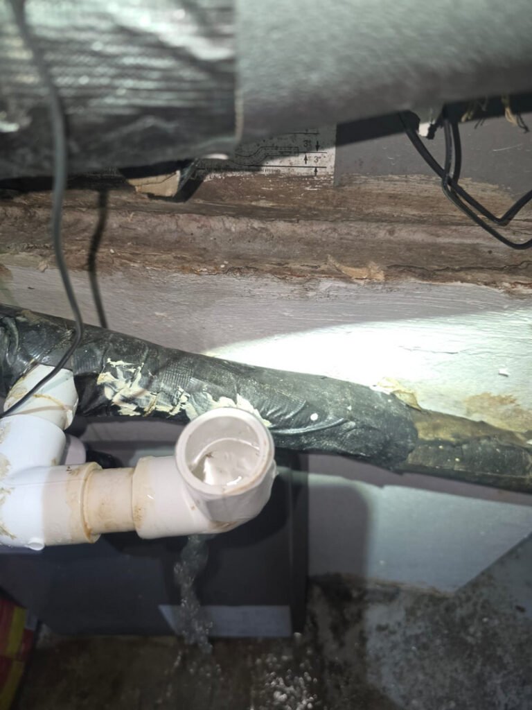 From one of our recent jobs: water leak from a pvc pipe under a sink with dark areas indicating potential water damage and debris present.