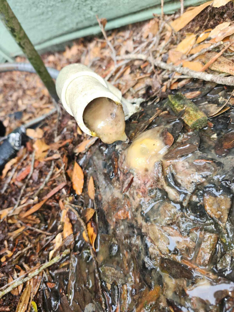 water leaking from a pipe onto the ground surrounded by damp leaves and debris suggesting a plumbing issue