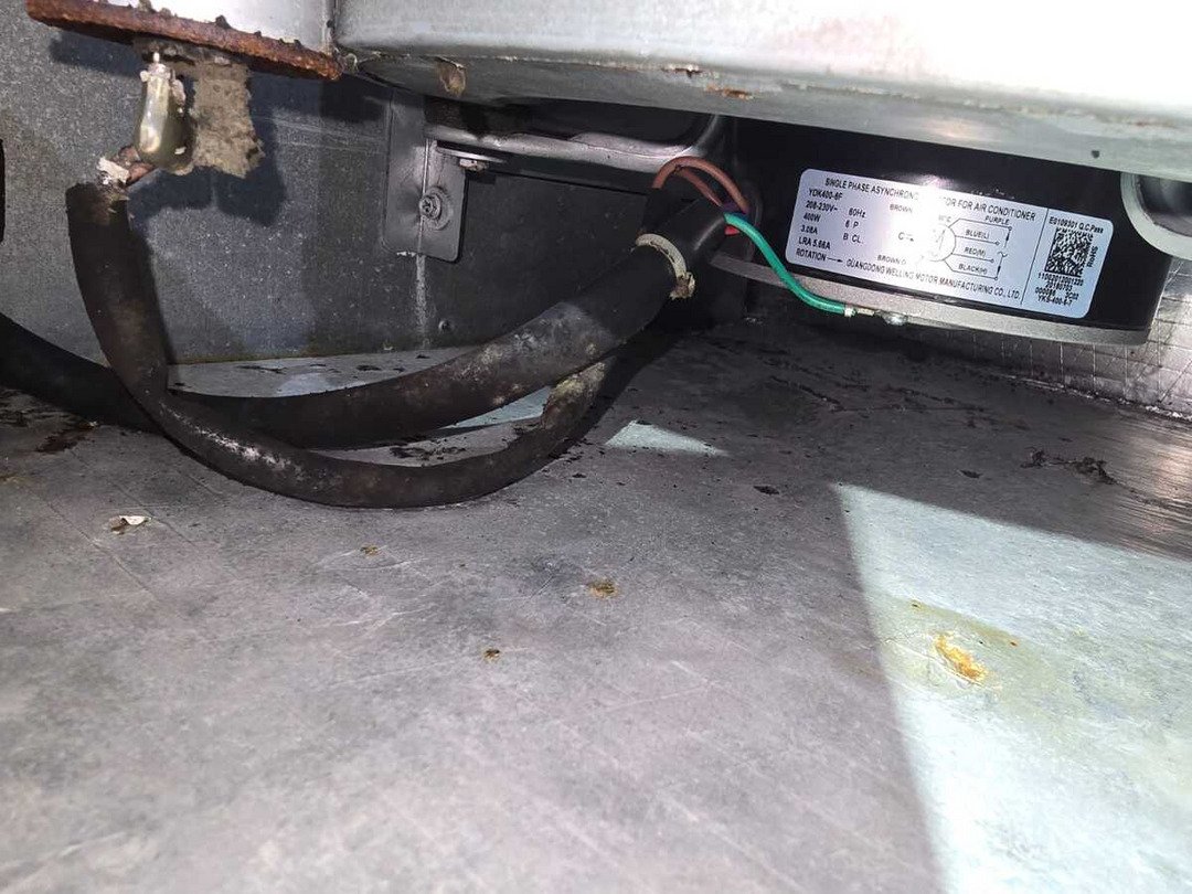 Mold in the Ducts on Cherry Creek Dr: UV Light Install + Duct Sanitation in Tampa, FL 33618