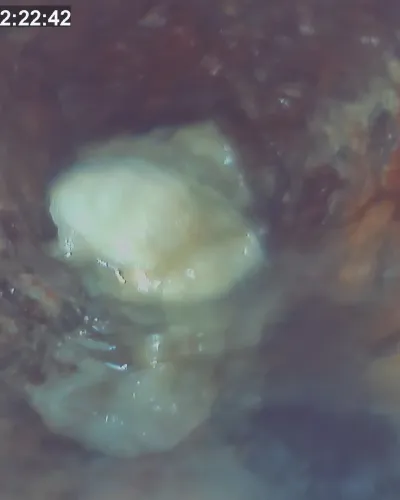 plumbing services including drain cleaning and water heater repairs being performed by home therapist cooling heating and plumbing in tampa