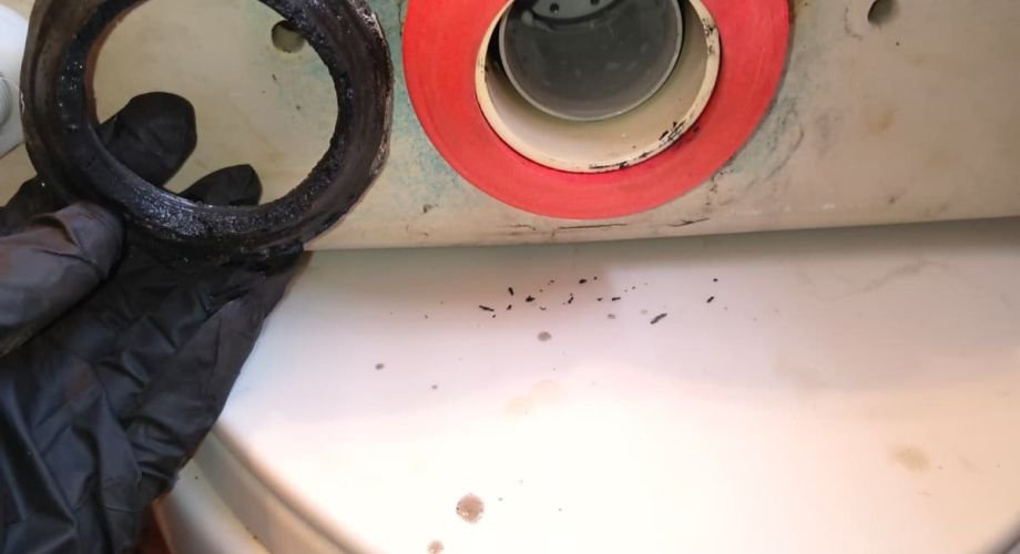 Toilet Repair and Installation in Tampa Bay, FL, photo 1