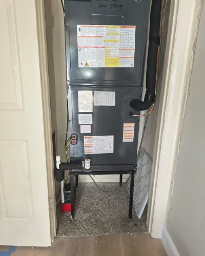 plumber performing drain cleaning service in tampa bay ensuring proper flow and preventing clogs in residential plumbing system